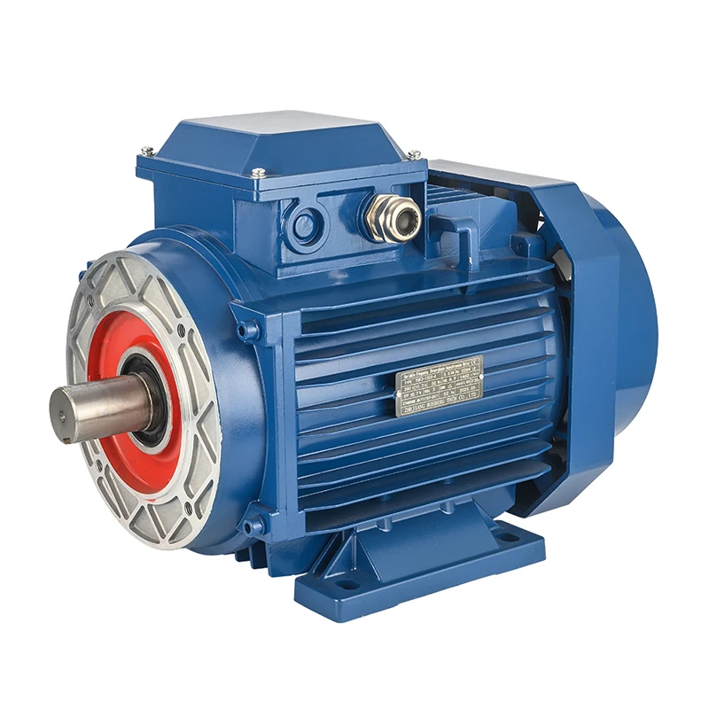 Montaj cu picior pentru motor trifazic 380v